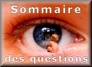 SOMMAIRE de l'IA éthique - SPHERA est un moteur éthique de recherches IA. Instruit par Demain l’Homme (ex SOS-planete). Il aide à lutter contre la Désinformation, la Surinformation et les Fake News