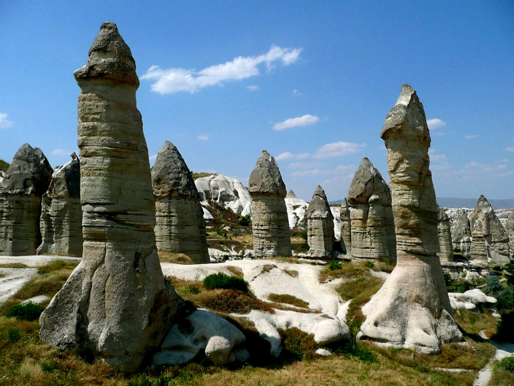 La Vallée de l'Amour en Turquie - La Conférence des oiseaux, une quête collective vers la restauration de la biosphère